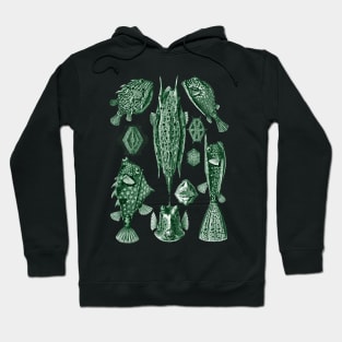 Ernst Haeckel Ostraciontes Fish Green Hoodie